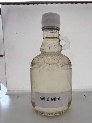 wild mint