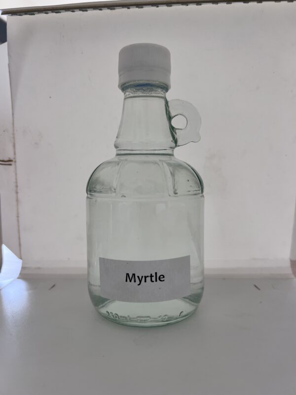 Myrtle