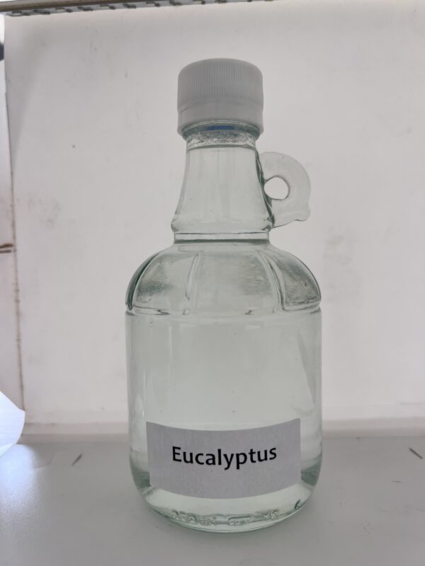 eaucalyptus