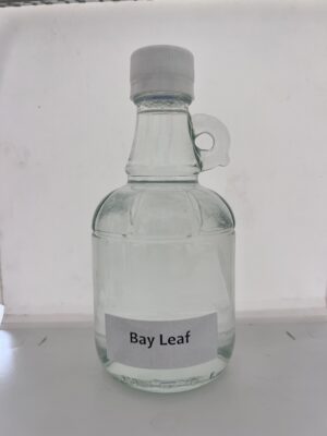 bay leaf